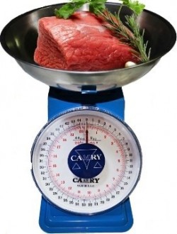 Camry İbreli Mutfak Terazisi