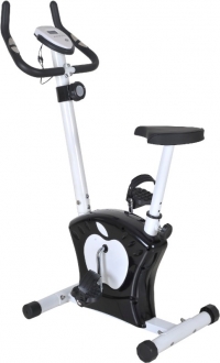 Dynamic Apple 8607 Dikey Bisiklet