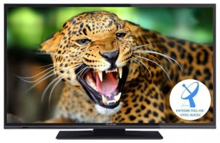 Hi-Level 49HL600 Full HD (FHD) TV