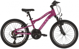 Bisan KDX 2500 Dağ Bisikleti