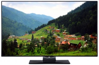 SEG 48SNB8500 Full HD (FHD) TV