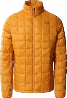 The North Face Thermoball Eco 2.0 Erkek Şişme Mont (Citrine Yellow)