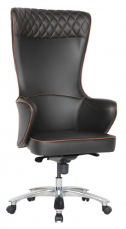 Uzay Ofis Coupe Yönetici Koltuğu