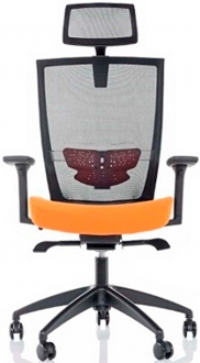 Uzay Ofis Kelebek Başlıklı Yönetici Koltuğu