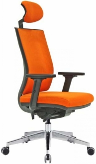 Uzay Ofis Viyano Başlıklı Alüminyum Yönetici Koltuğu