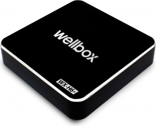 Wellbox WX-H6+ Medya Oynatıcı (32 GB)